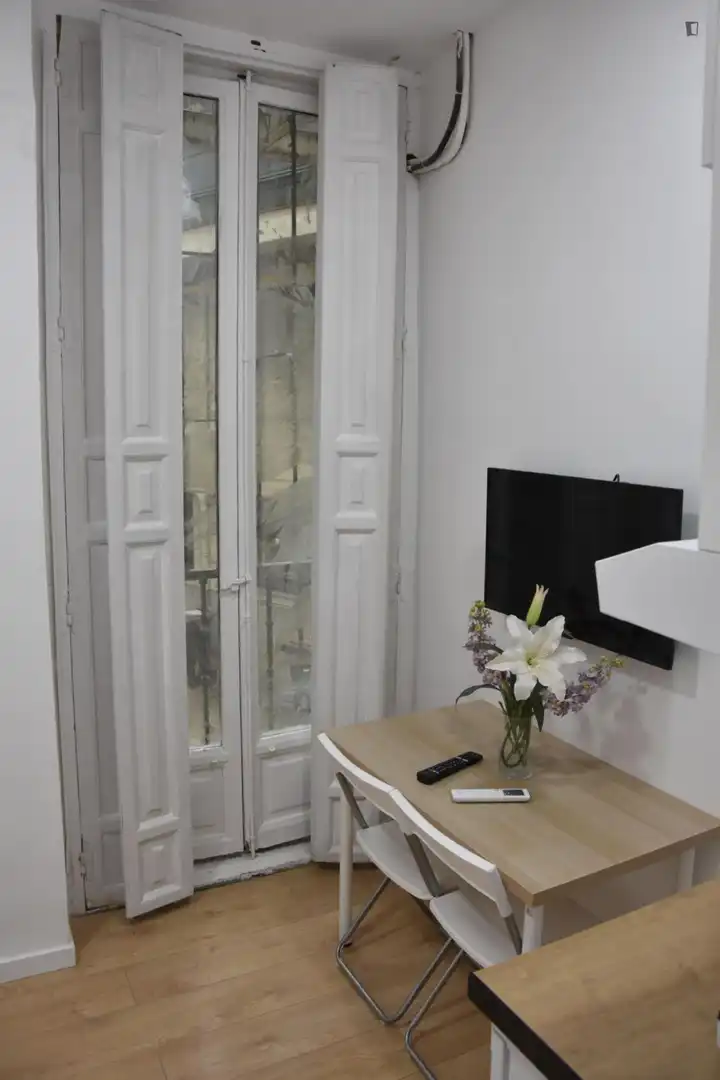 Estudio de alquiler en Madrid con Aire acondicionado, Calefacción y Amueblado