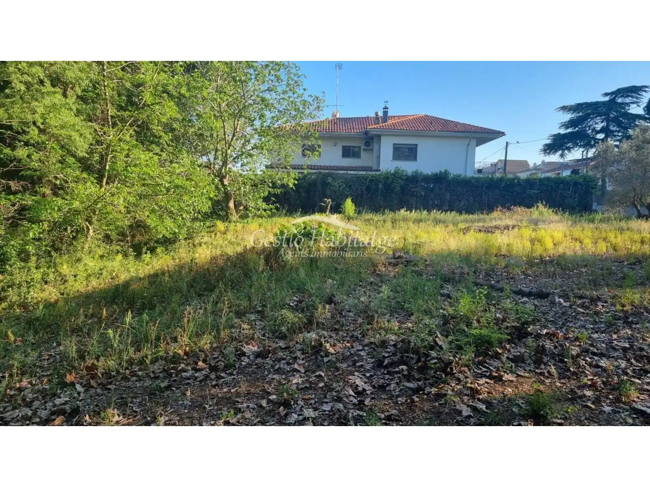 Terreny residencial en venda a Calle lluçanes, imagen 2