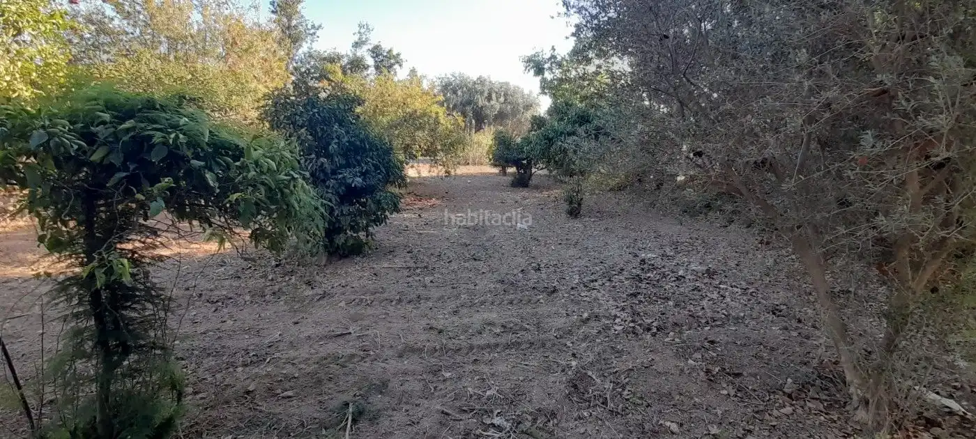 Terreni e lotti in affitto a Avenida de San Javier 29D, imagen 14