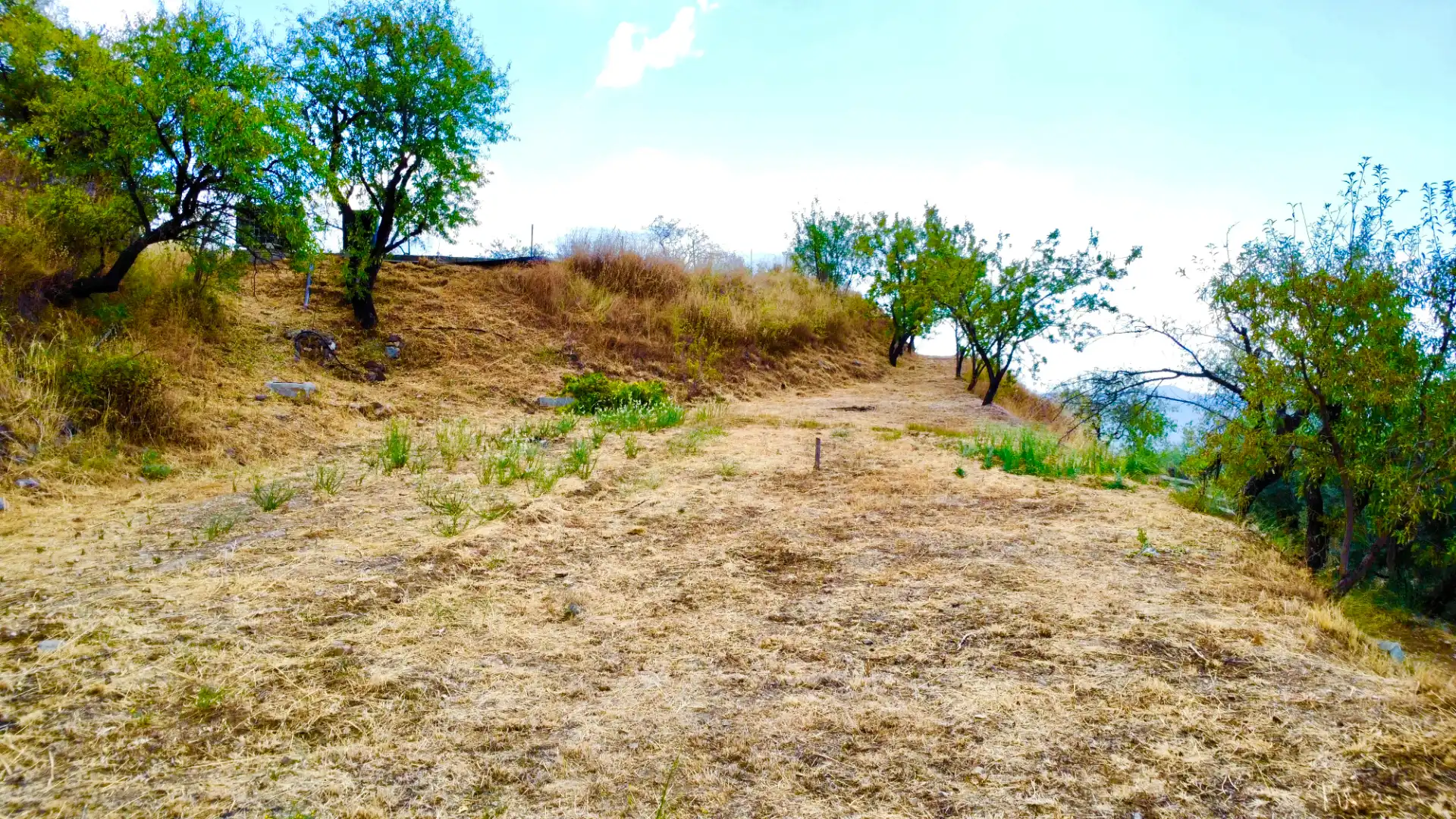 Terreno rustico in vendita a N/A, imagen 41