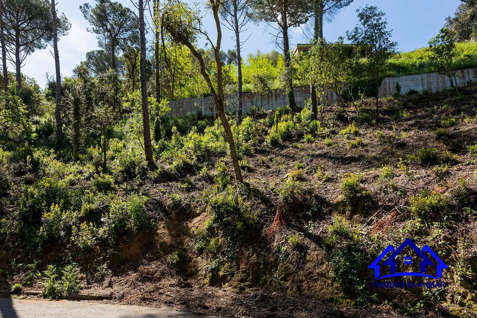 Lands and plots for sale in Vallgorguina, imagen 8