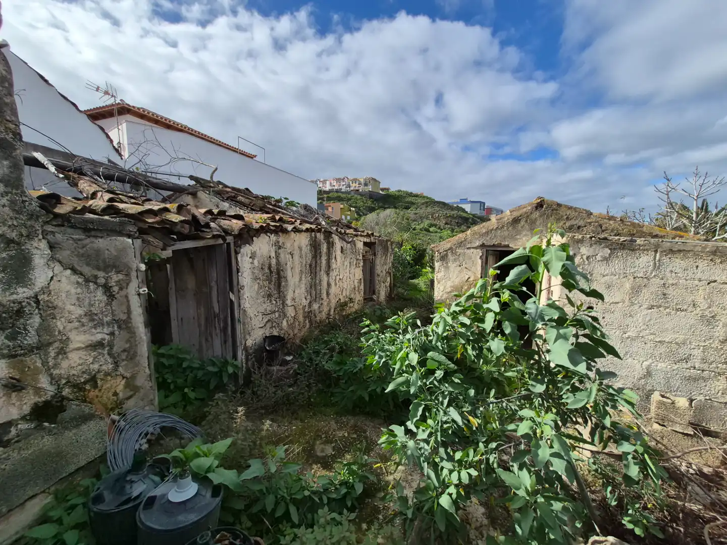 Rural land for sale in Camino la Cueva del Rey, imagen 31