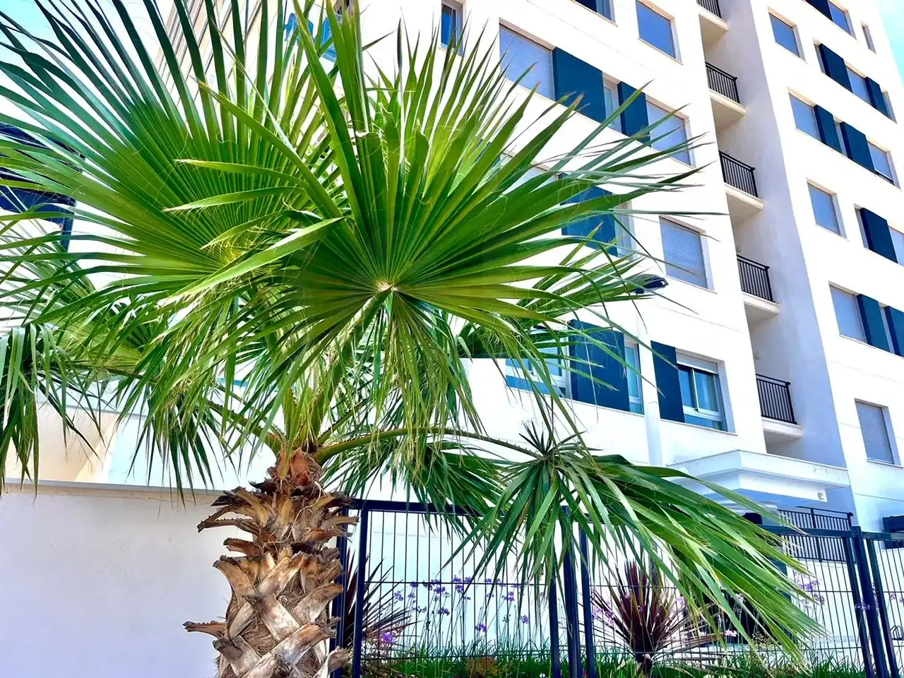 Appartement avec piscine à vendre à Cabanes, imagen 28