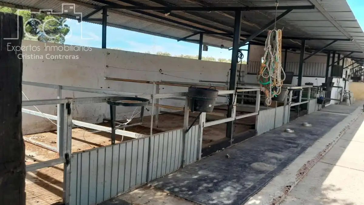 Casa rústica amb jardí en venda a Almonte ciudad, imagen 3