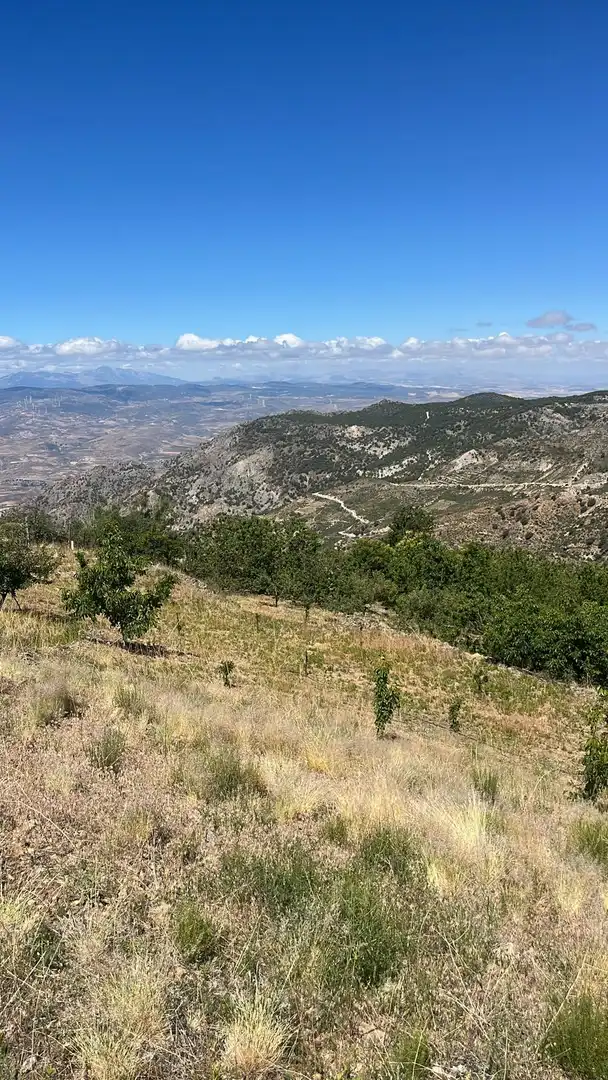 Terreni e lotti in vendita a Nigüelas, imagen 2