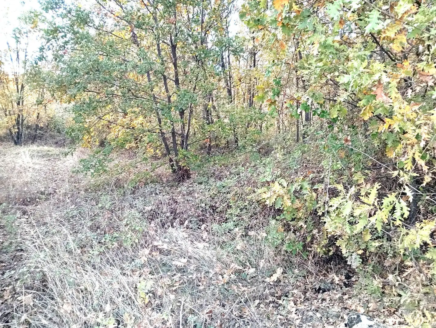 Terreni e lotti in vendita a Viandar de la Vera, imagen 23