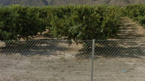 SE VENDE FINCA EN PLENA PRODUCCIÓN FRUTALES, imatge 4