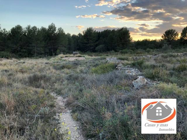 Terreno en Venta en Ribesalbes