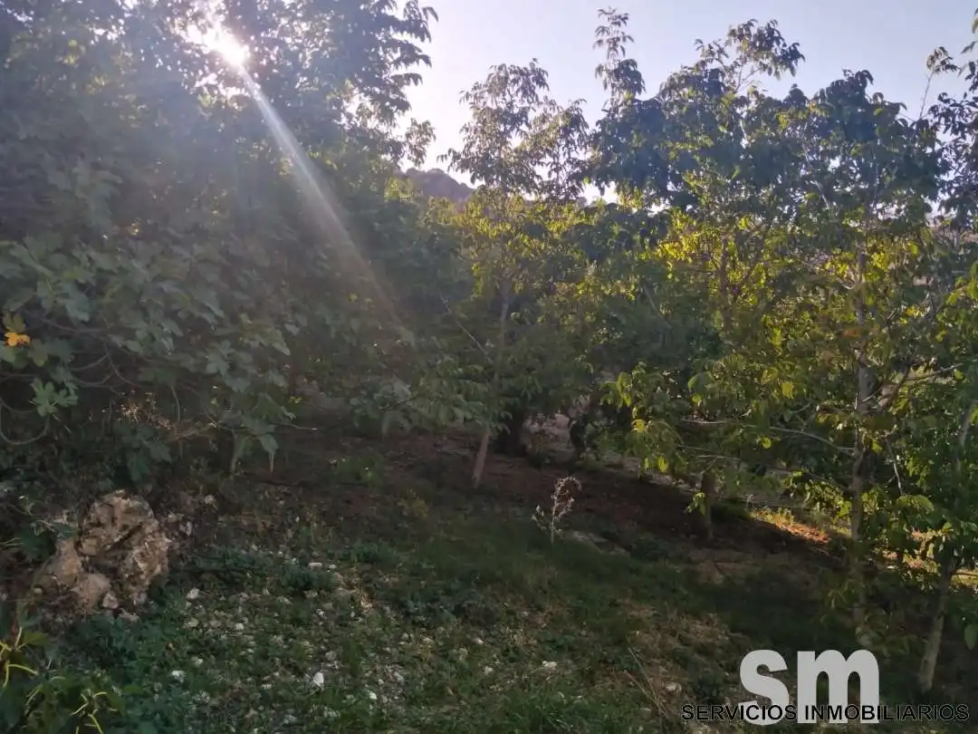 Terreno en venta en Zahara