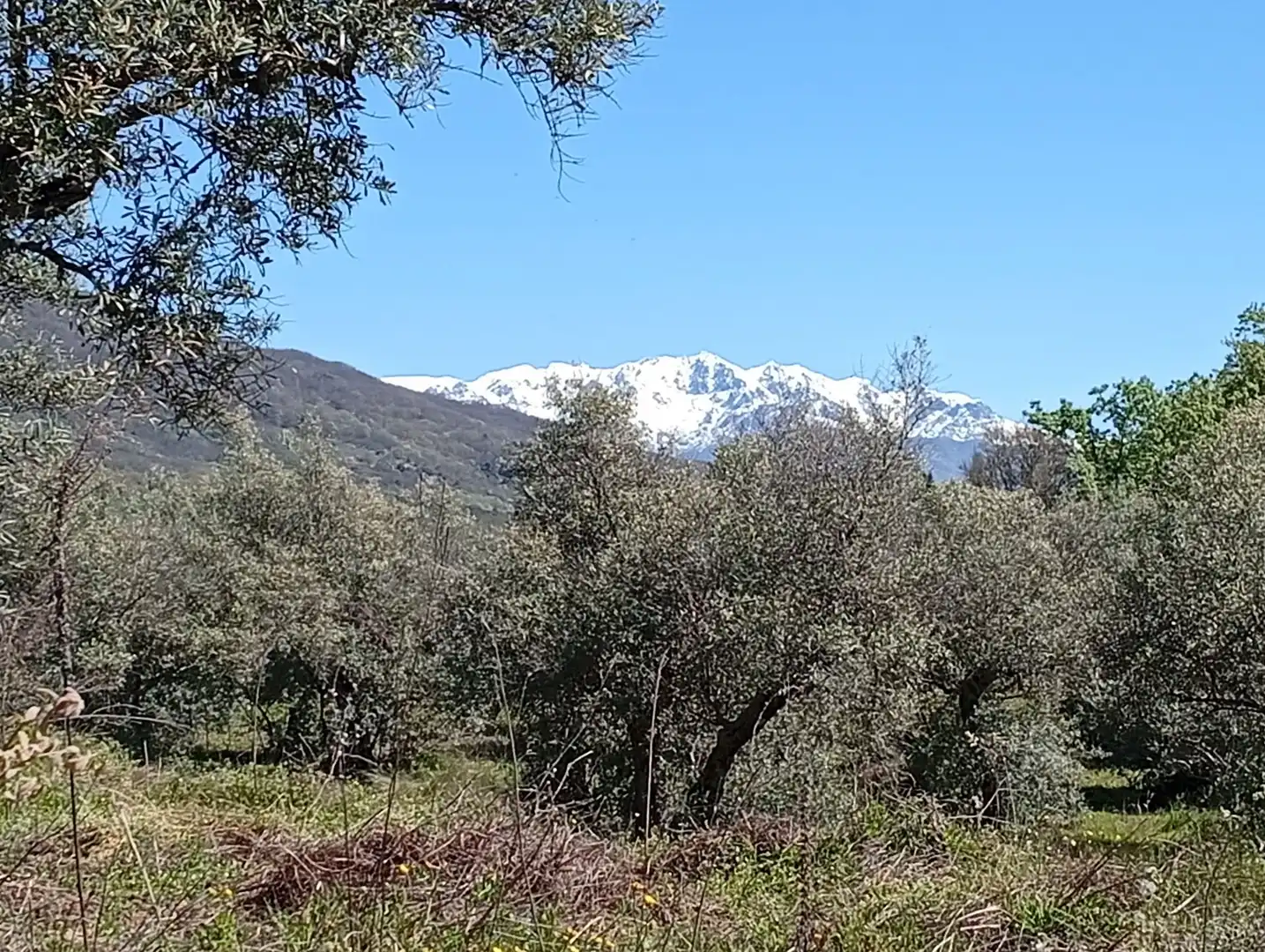 Terreni e lotti in vendita a Valverde de la Vera, imagen 41