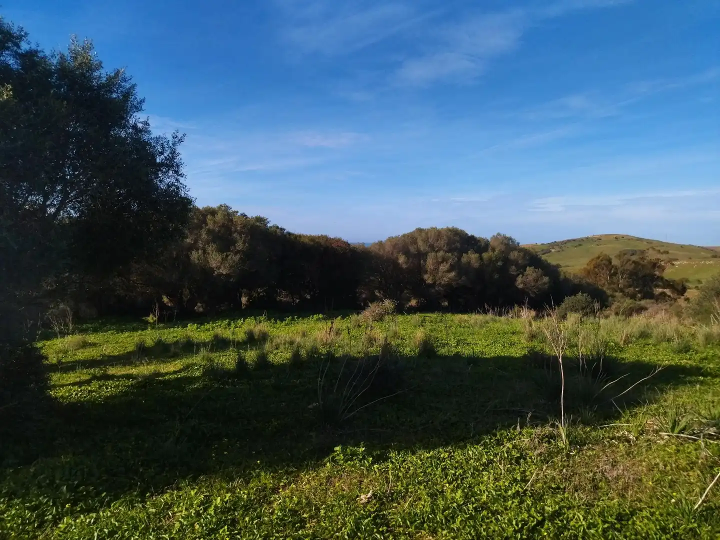 Terreno rustico in vendita a Carretera Arroyo San Ambrosio 385