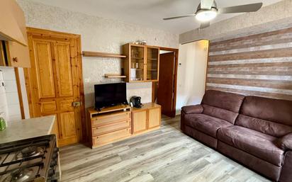 Sala d'estar de Apartament en venda en Camprodon amb Traster