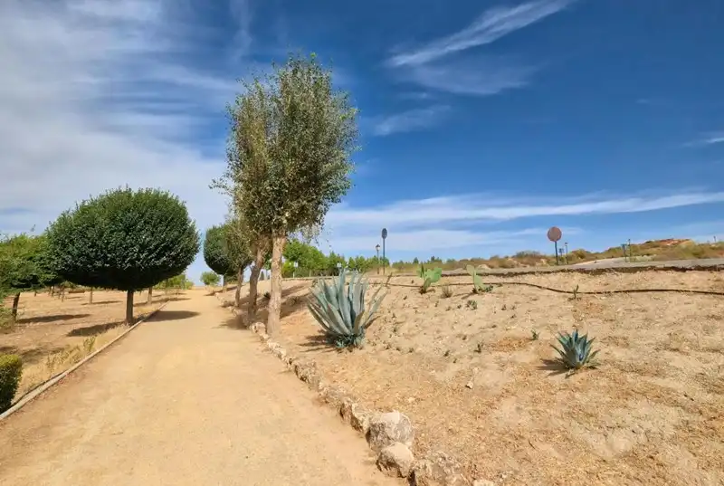 Terreno residencial en venta en Calle Veleta, imagen 11