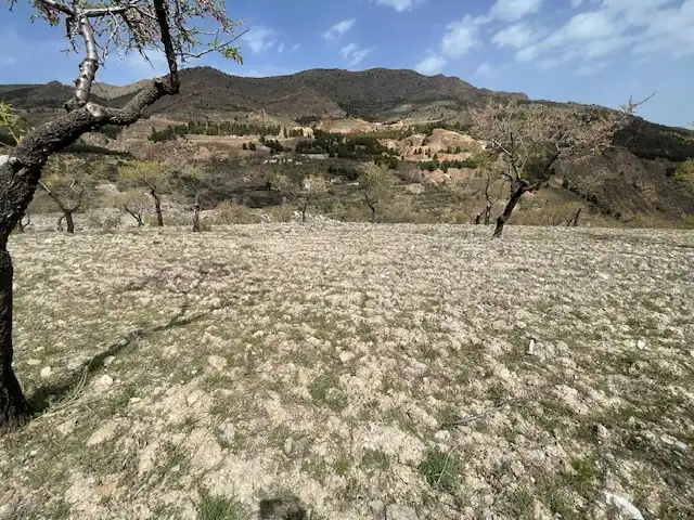 Rural land for sale in Alcudia de Monteagud, imagen 3