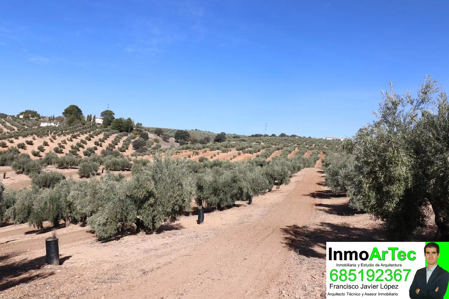 Finca rústica en venda en Iznalloz amb Jardí privat, Terrassa i Piscina
