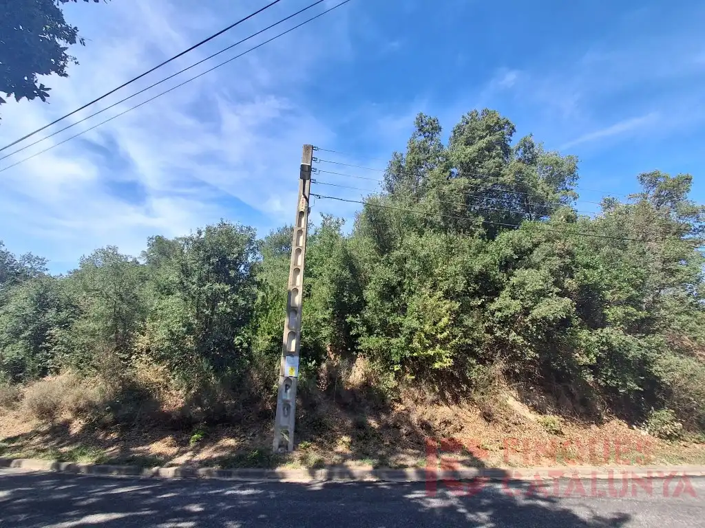 Terreno residencial en venta en Carrer Alzina Surera, imagen 5