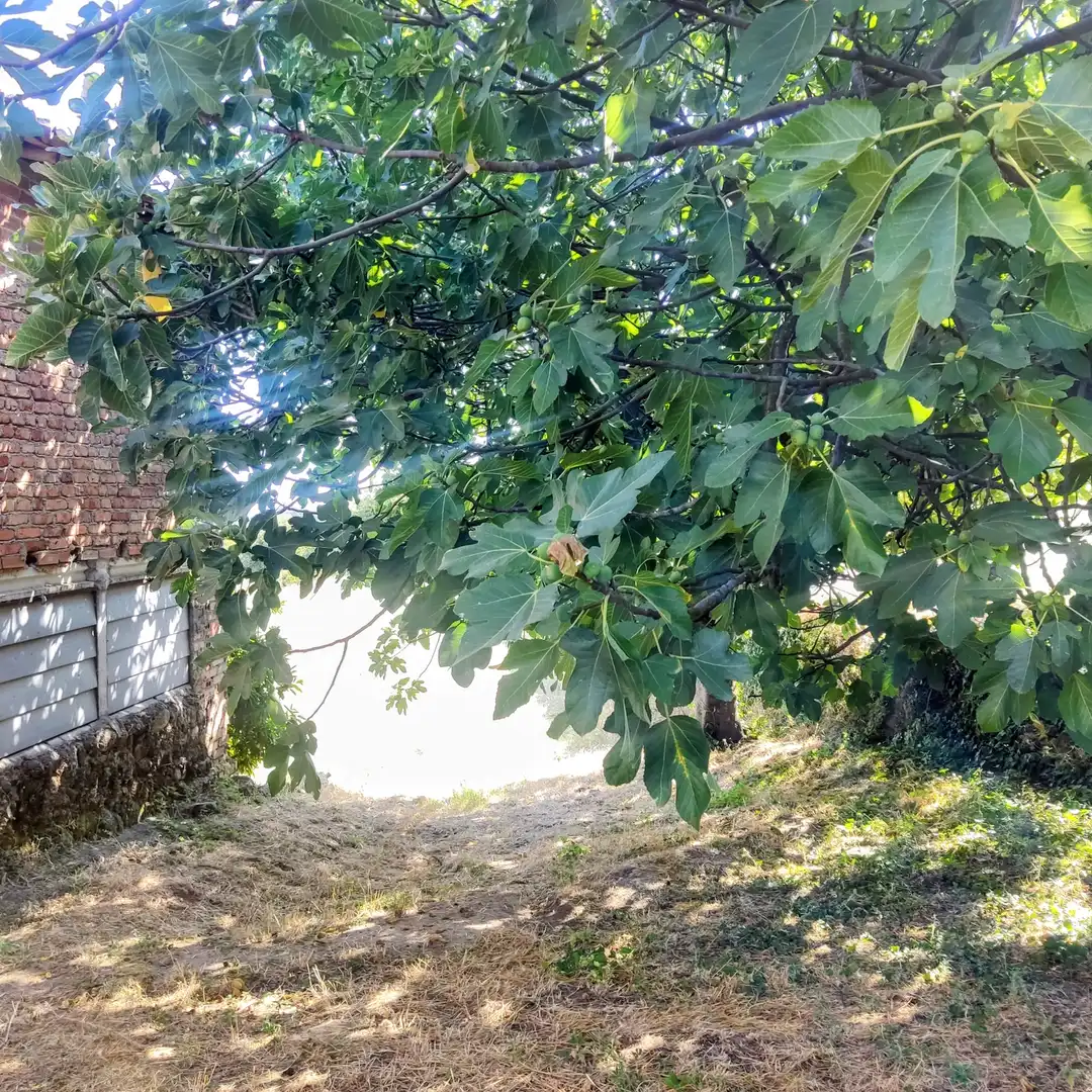 Terreni e lotti in vendita a Calle el Tablao, imagen 9