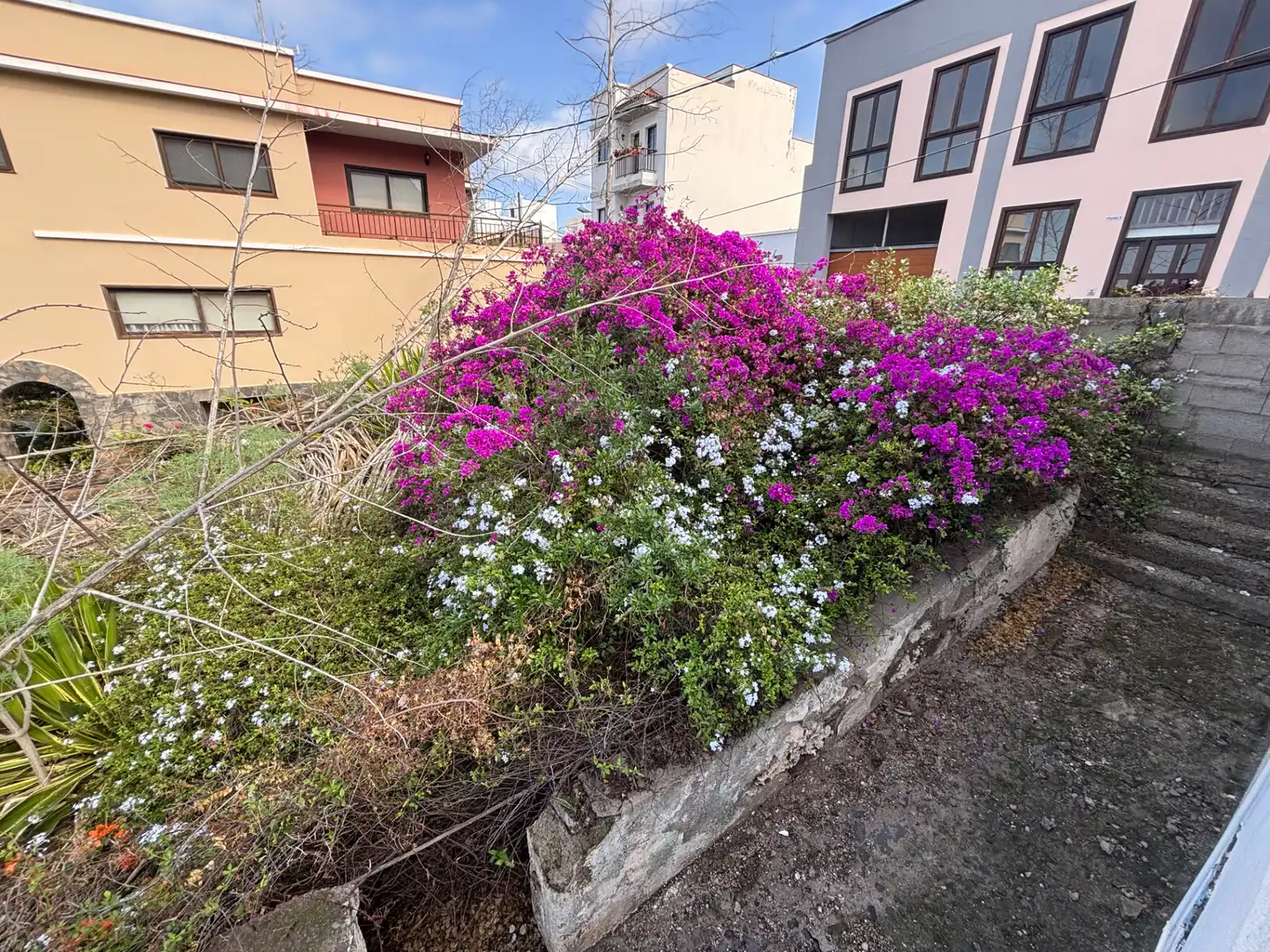 Vista exterior de Casa o xalet en venda en Buenavista del Norte amb Jardí privat i Terrassa