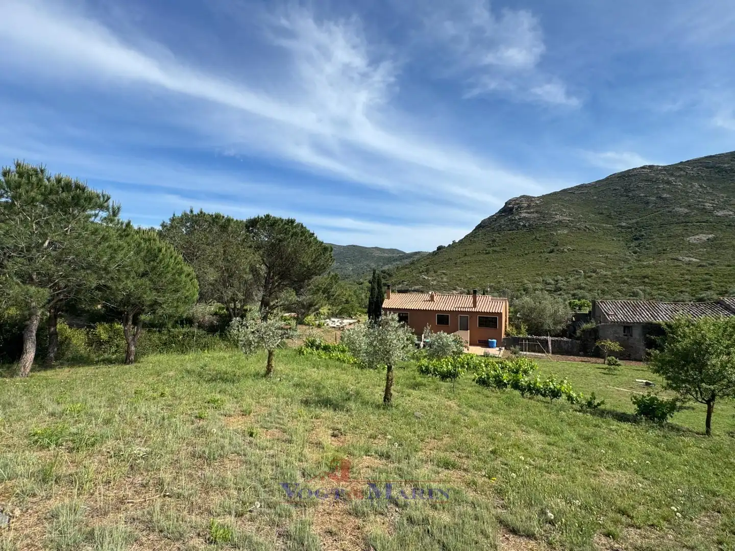 Maison avec jardin à vendre à Carrer de Sant Silvestre, imagen 2