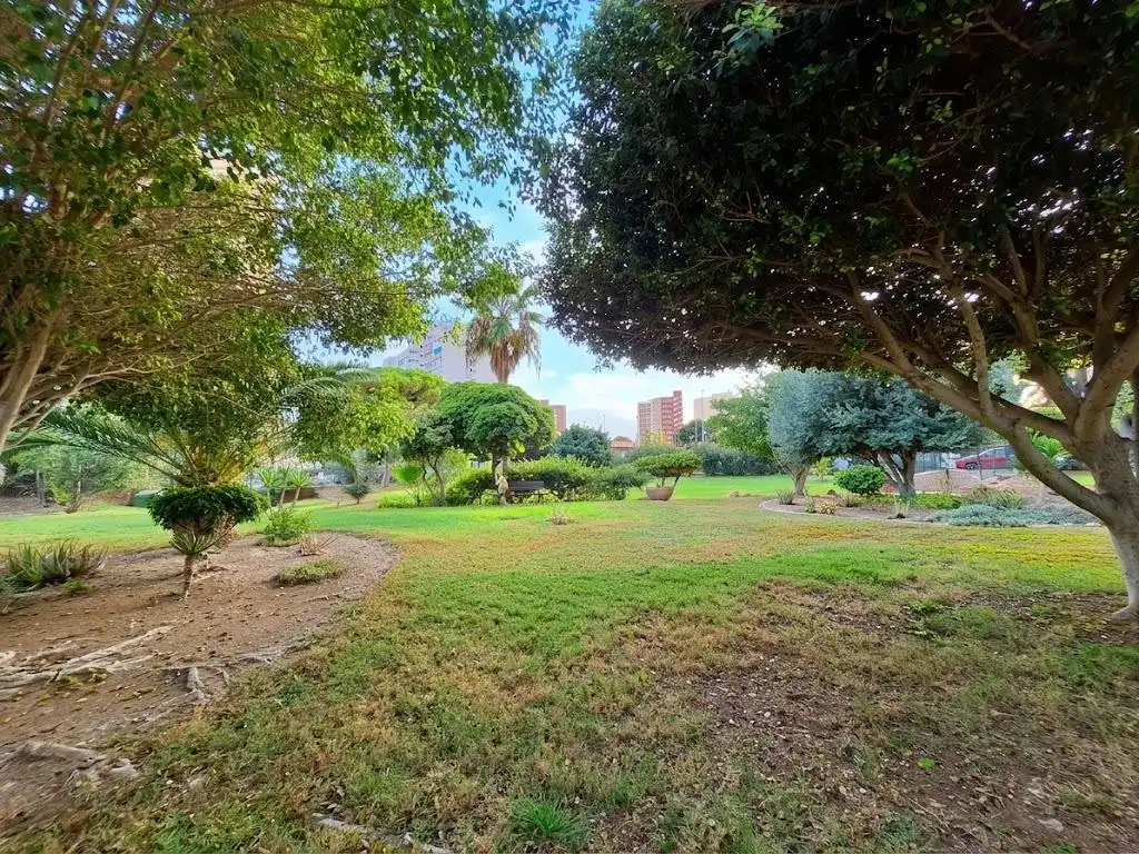 Garden of Study for sale in Juzgados - Plaza de Toros