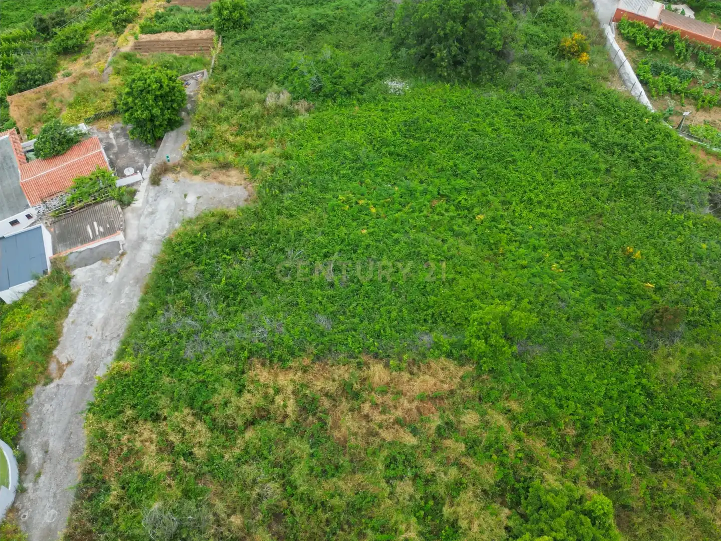 Terreno rustico in vendita a Calle Alzados Guanches, La Orotava, Spain, imagen 11