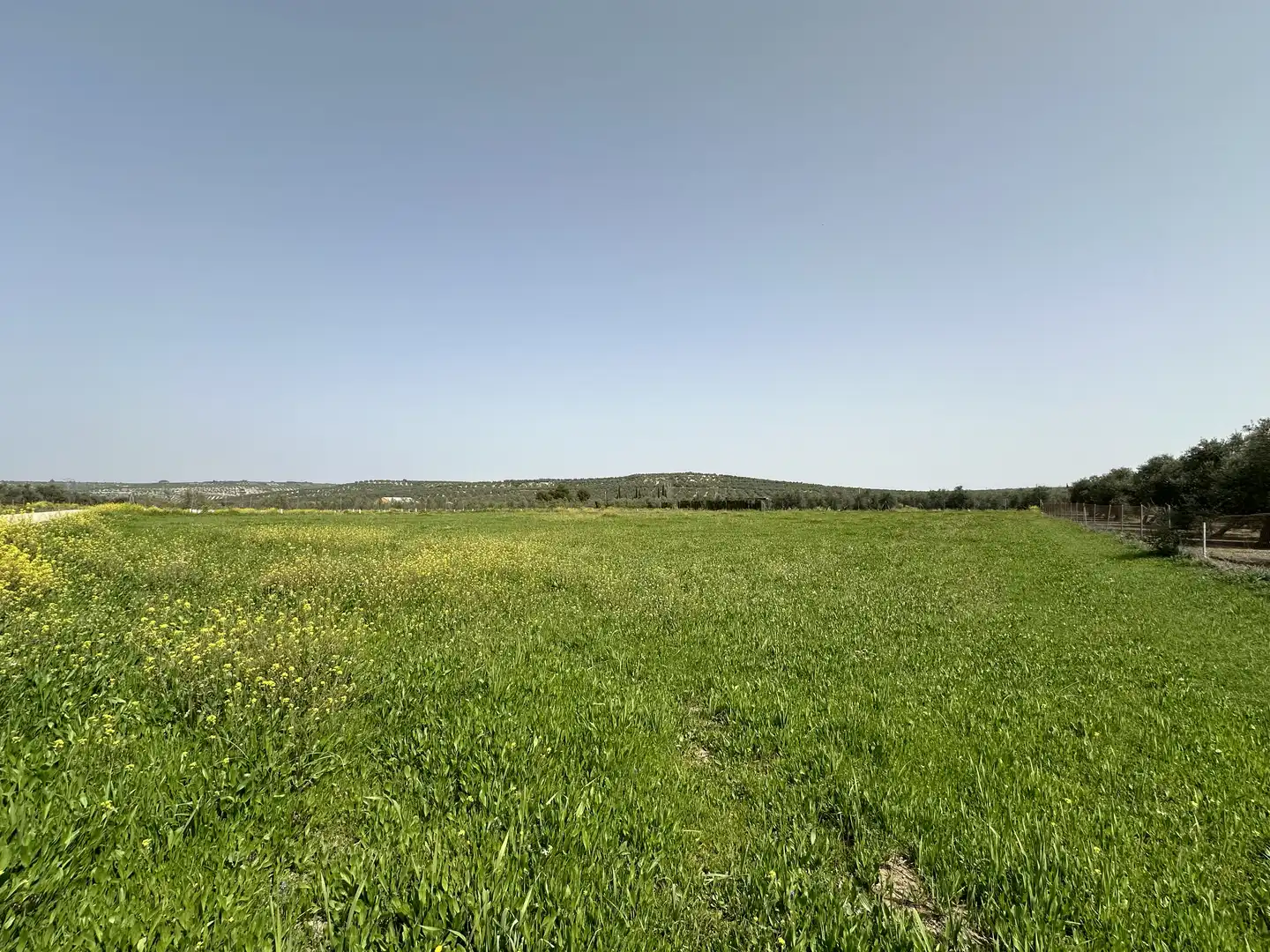 Terrenos y solares en venta en Úbeda, imagen 2