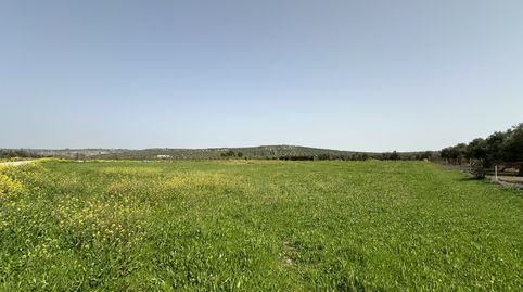 SE VENDE PARCELA RÚSTICA ZONA EL TESORERO, immagine 2