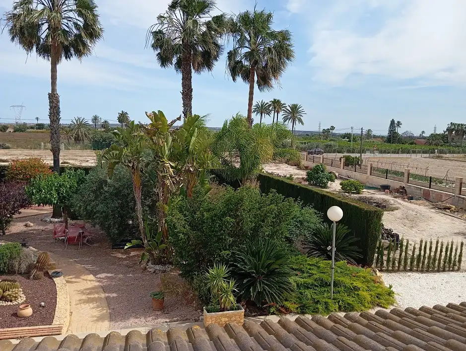 Jardín de Casa o chalet en venta en Elche / Elx con Jardín privado, Terraza y Piscina