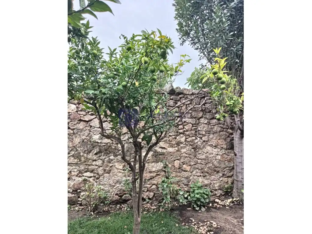 Casa o xalet en venda a Calle Nueva, Aldea del Cano