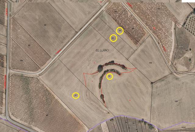 Terreno en Venta en Azofra