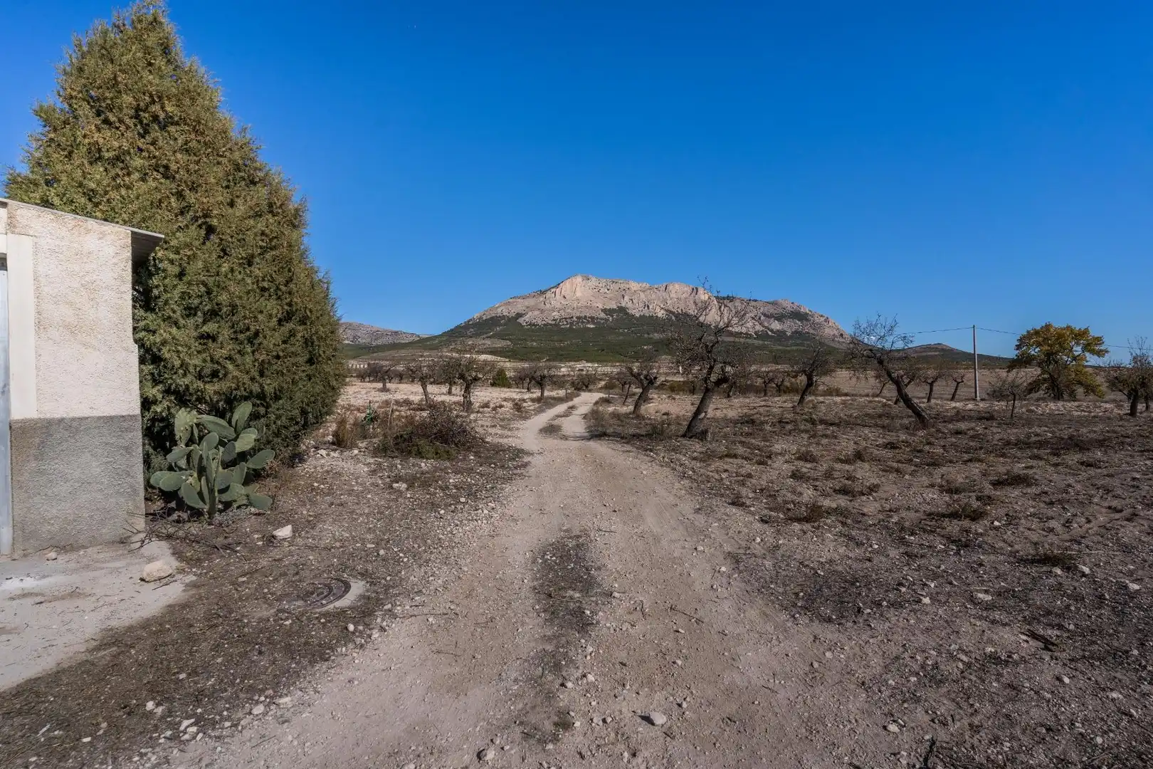 Finca rústica en venta en Vélez-Rubio con Calefacción, Jardín privado y Trastero