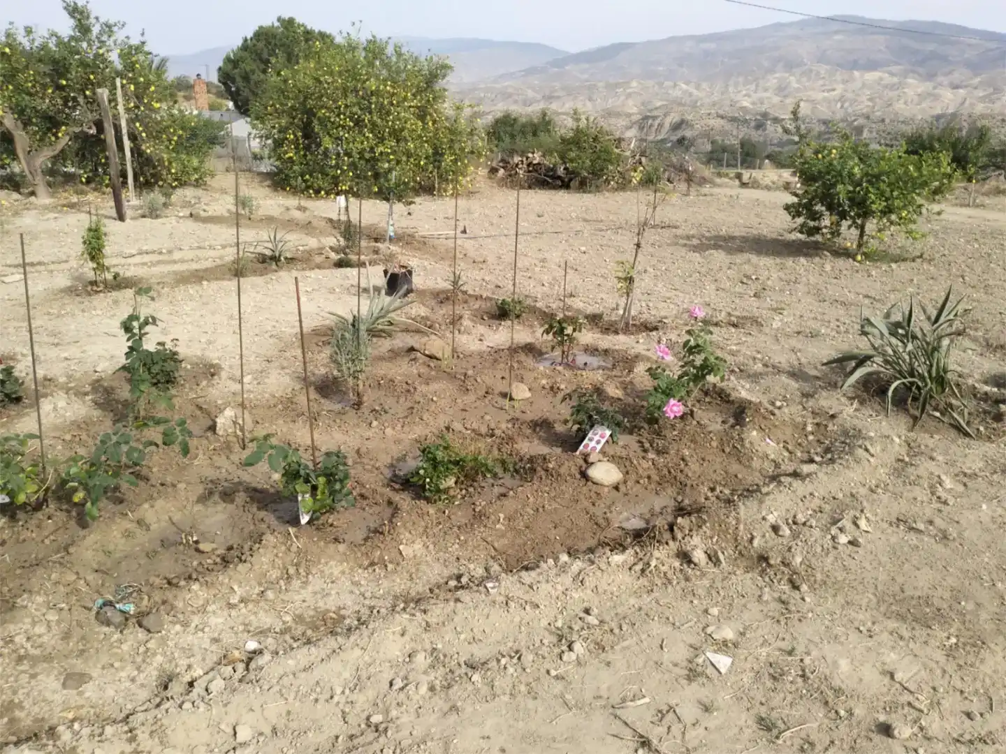 Casa o xalet en venda en Íllar amb Aire condicionat