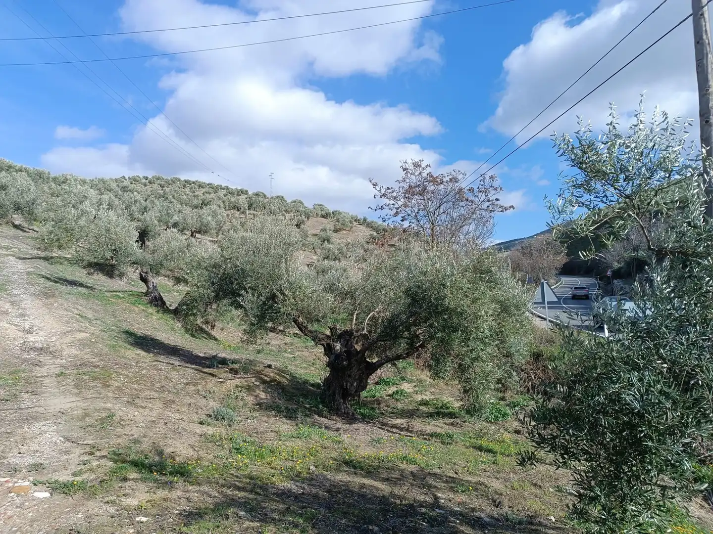 Casa rústica amb jardí en venda a Puente Jontoya - Puente de la Sierra - El Arroyo, imagen 19