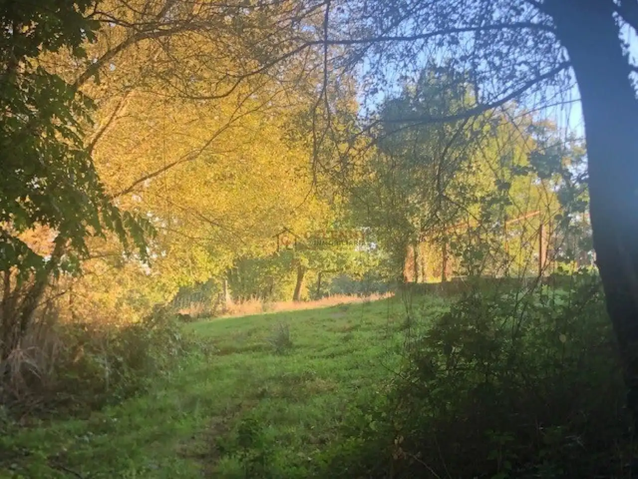 Terreni e lotti in vendita a Nogueira de Ramuín, imagen 19