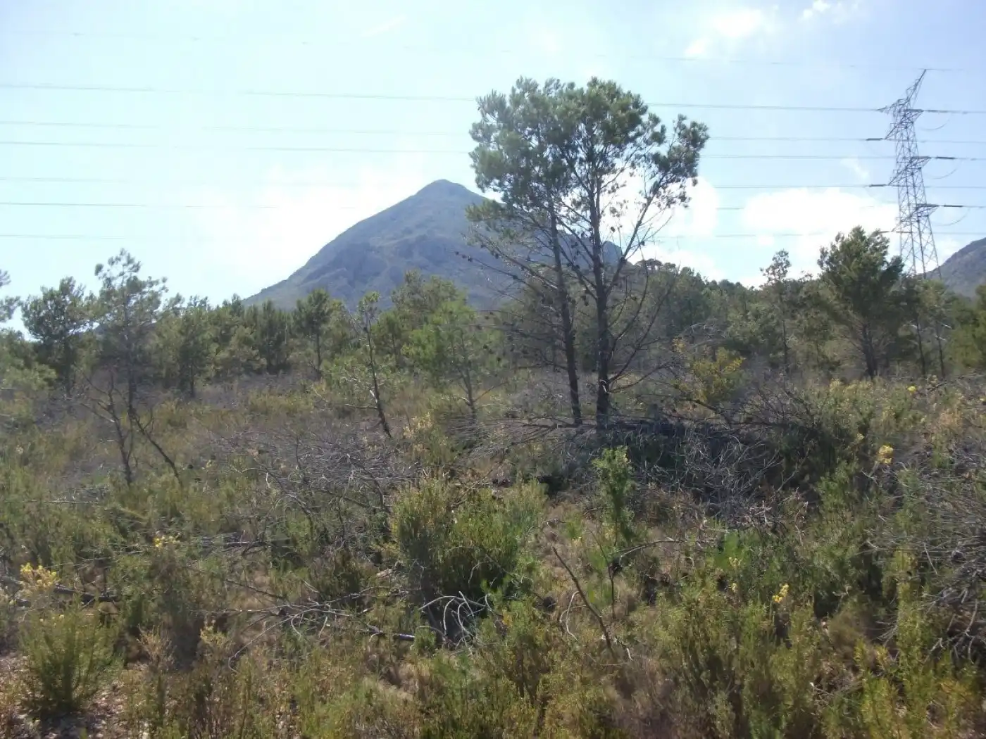 Terrain rustique à vendre à La Nucia Pueblo, imagen 9