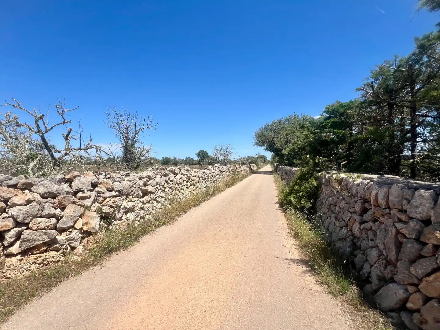 Casa rústica en venta en can corem, imagen 27