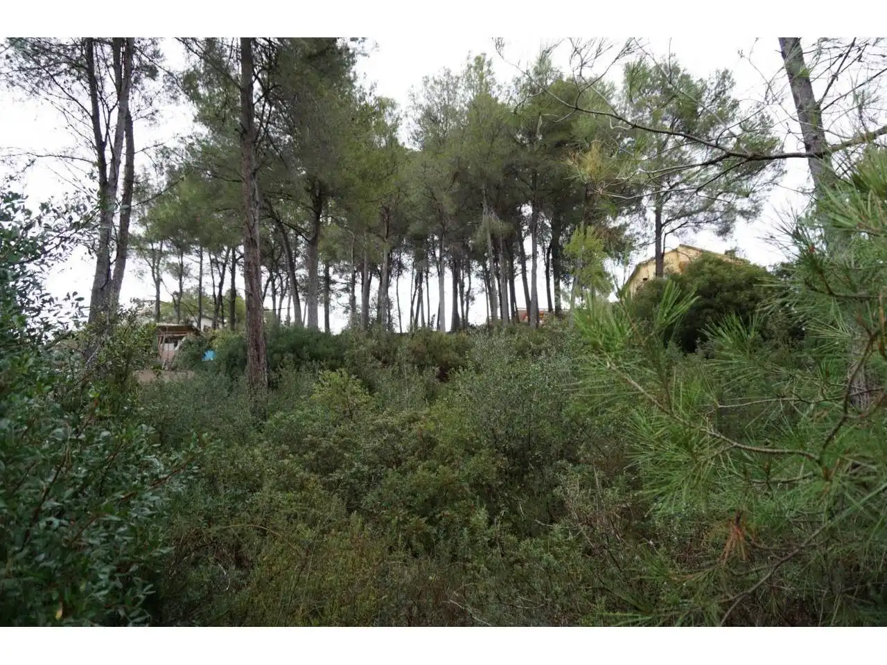 Terreno industriale in vendita a Calle ESTARTIT, imagen 3