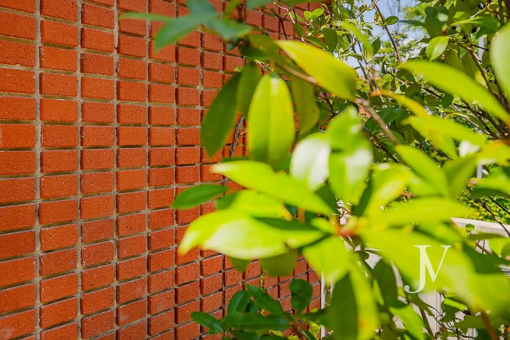 Vista exterior de Casa o chalet en venta en Madrid con Aire acondicionado, Calefacción y Jardín privado