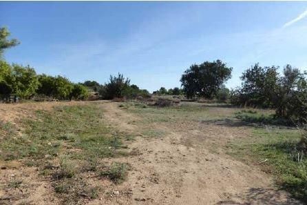 Land for sale in Algímia de Alfara
