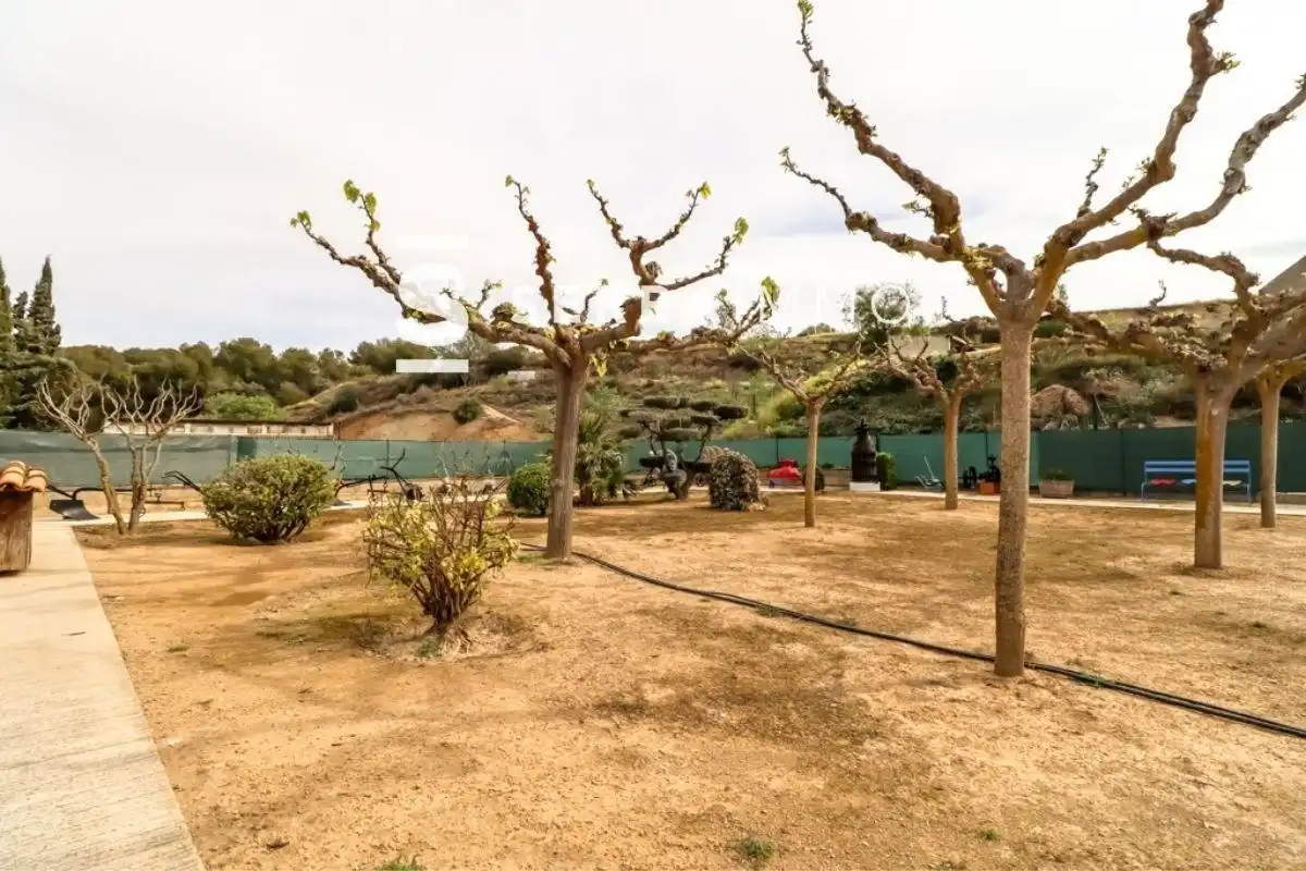 Jardí de Casa o xalet en venda en Font-rubí amb Jardí privat