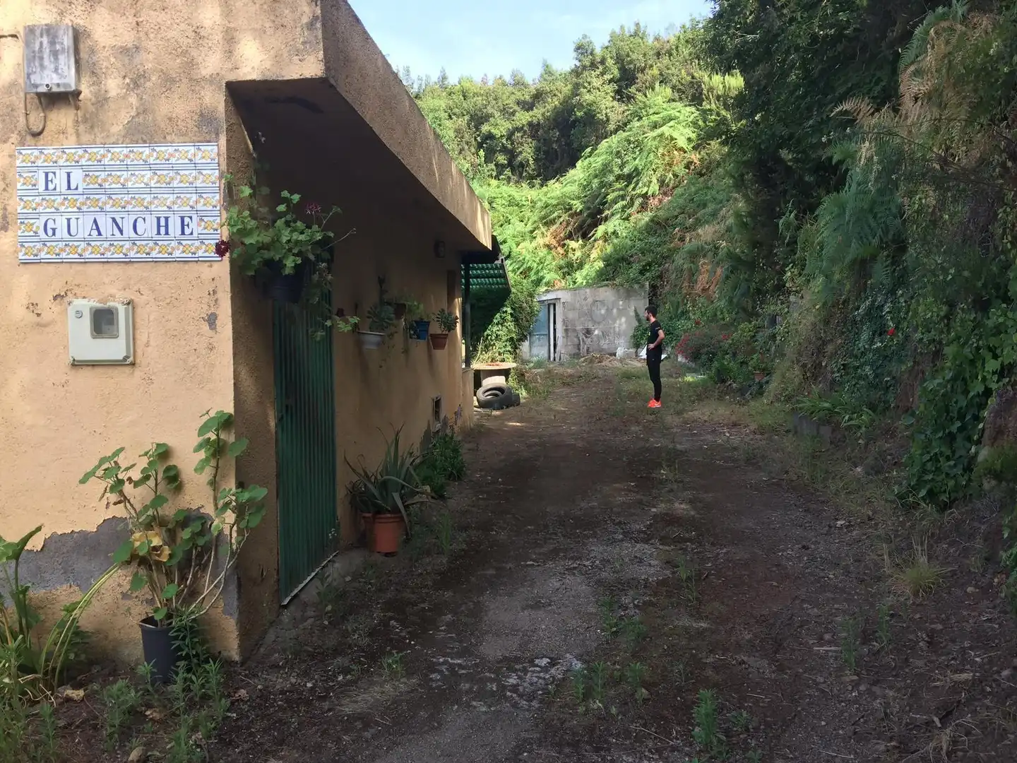 Vista exterior de Finca rústica en venta en Los Realejos