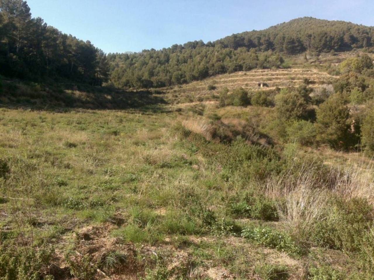 Residential for sale in Vilaplana