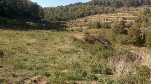 Finca en venta, immagine 2