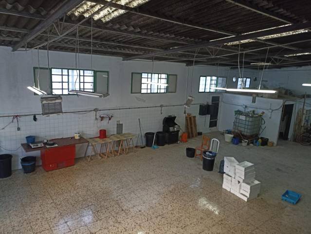 Nave industrial en Venta en Bonanza - Avda de Huelva - Barrio Andalucia