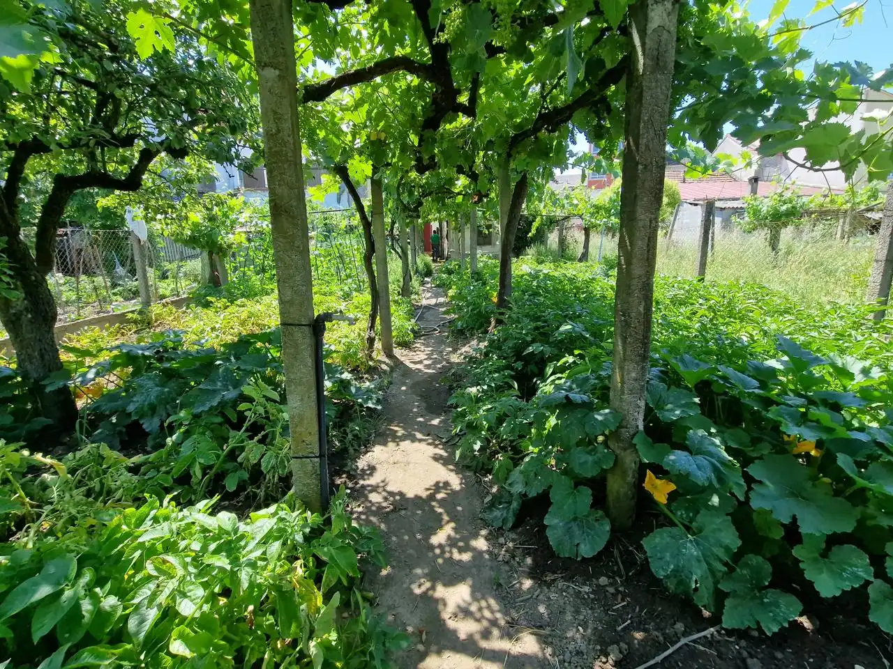 Garden of Houses for sale in Monforte de Lemos  with Heating and Balcony