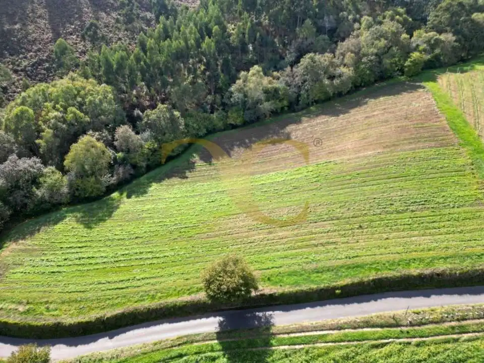 Wohnbaugrundstück zum Verkauf in Nocéu, imagen 6