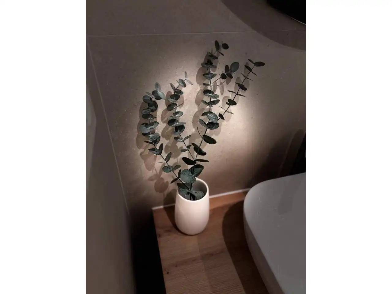 Bathroom of Study for rent in Roquetas de Mar  with Air Conditioner, Furnished and Balcony