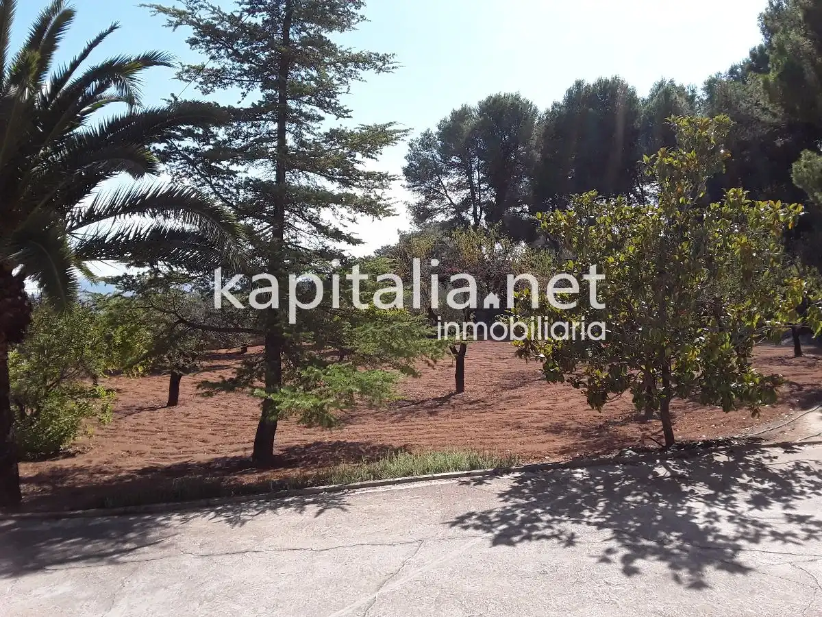 Villa avec terrasse à vendre à El Pilar, imagen 3