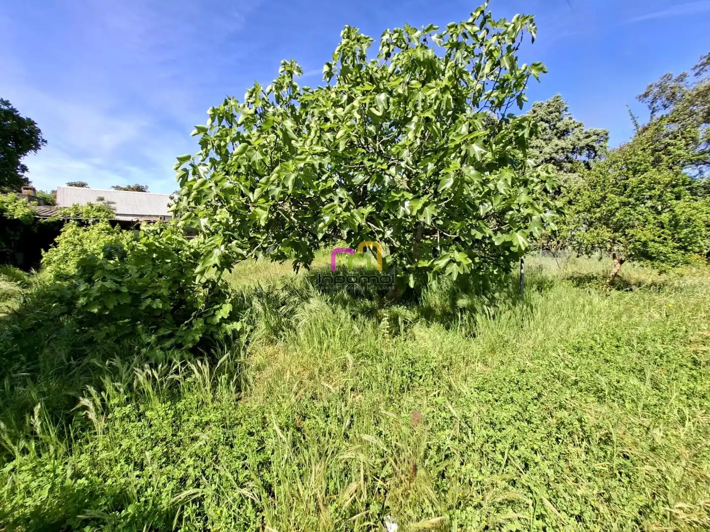 Country house zum Verkauf in Badajoz mit Terrasse, Abstellraum und Schwimmbad