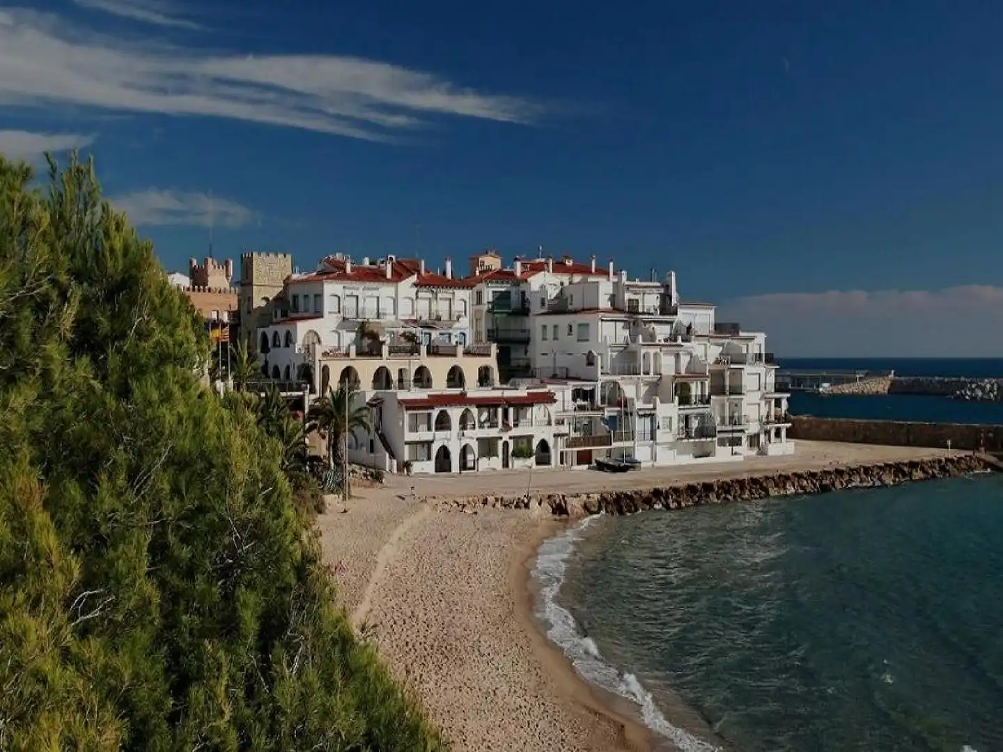 Casa o chalet en venta en Roda de Berà